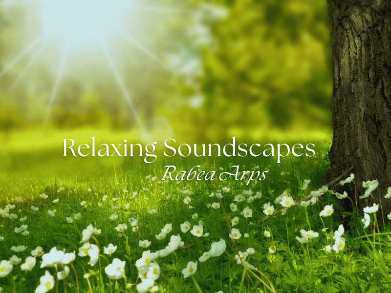 Relaxing Soundscapes | Rabea Arps: mein YouTube Kanal
